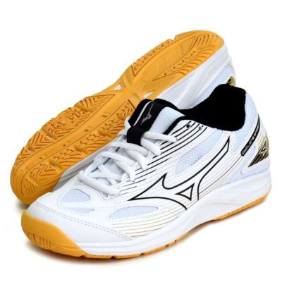 MIZUNO バレーボール シューズ+サポーター+ケース セット | www